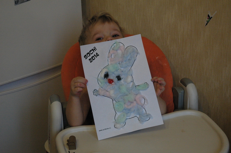 Зимняя Олимпиада, Сочи 2014...