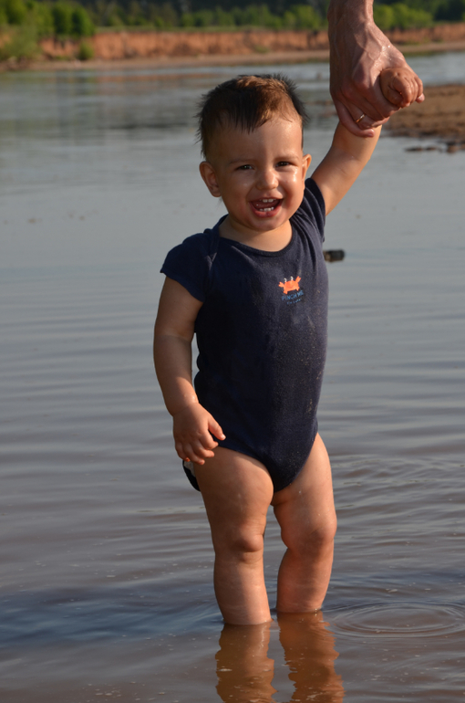 Моя лапа на Волге!))))))))