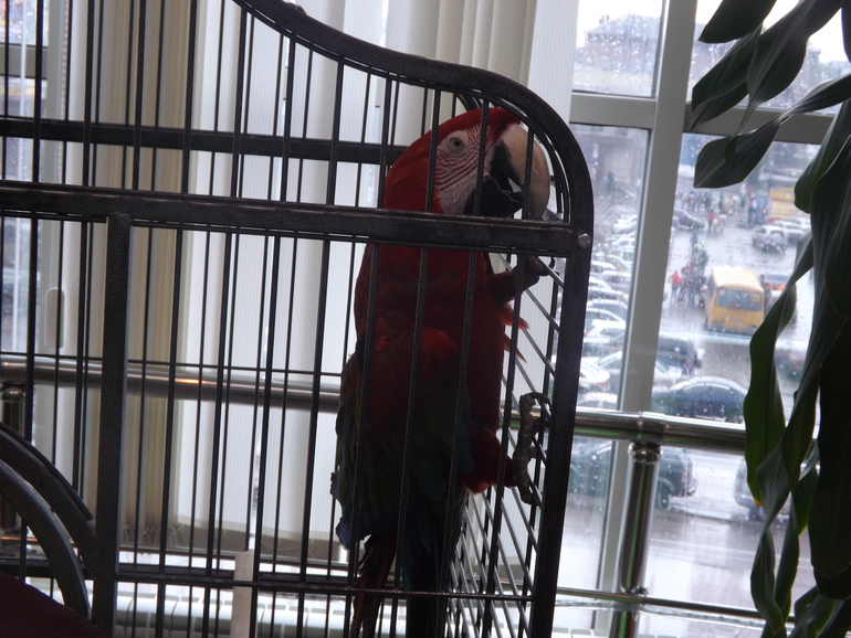 Кукольный театр 30.03.2014г.