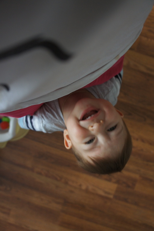 Наши год и три