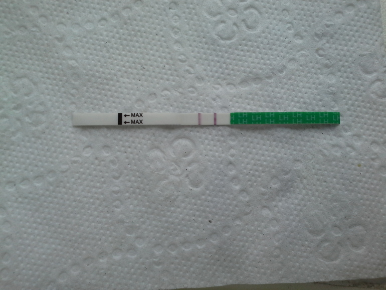 Опытные хочушечки,посмотрите тестик на овуляцию!