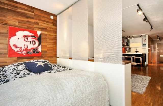 Какая перегородка лучше, практичнее и тд...