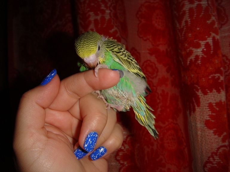 Мои попики!))))