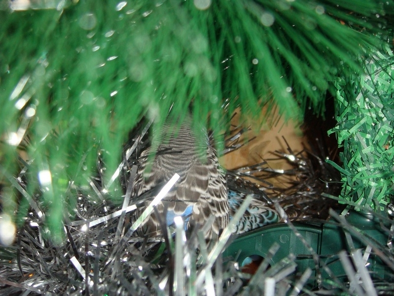 Мои попики!))))