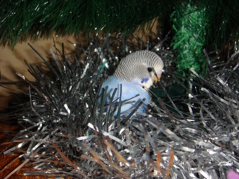 Мои попики!))))