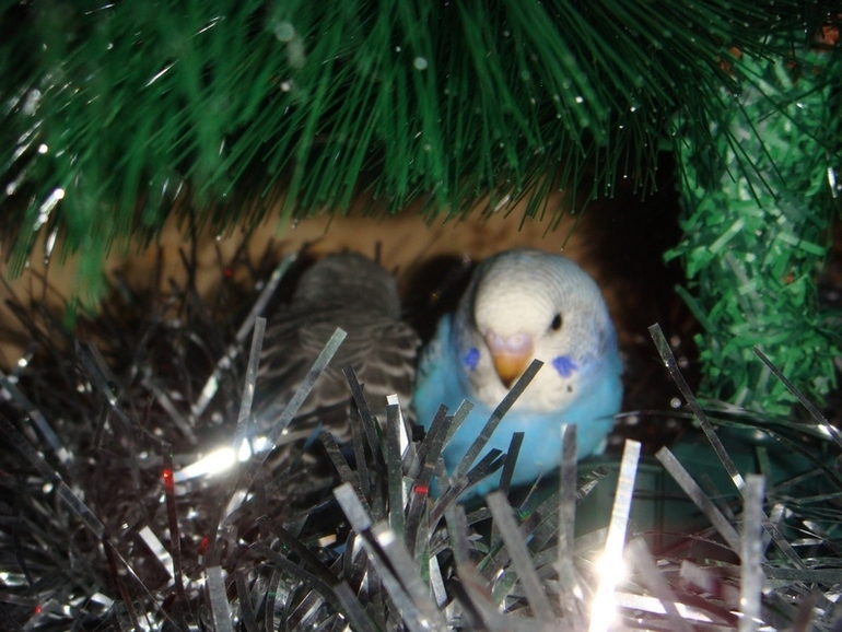 Мои попики!))))