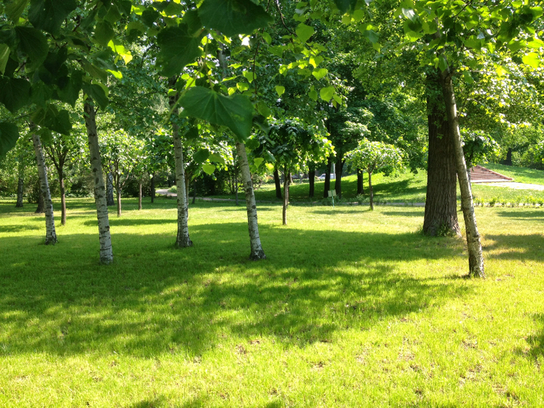 Парк Усадьба Трубецких в Хамовниках.