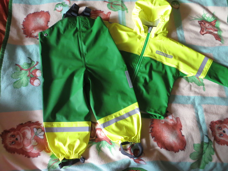 Наш дидриксон