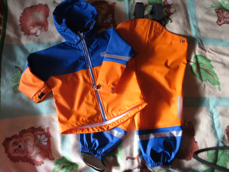 Наш дидриксон