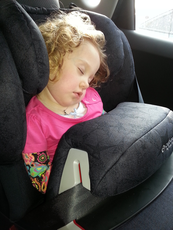 Цирк огромных зверей.