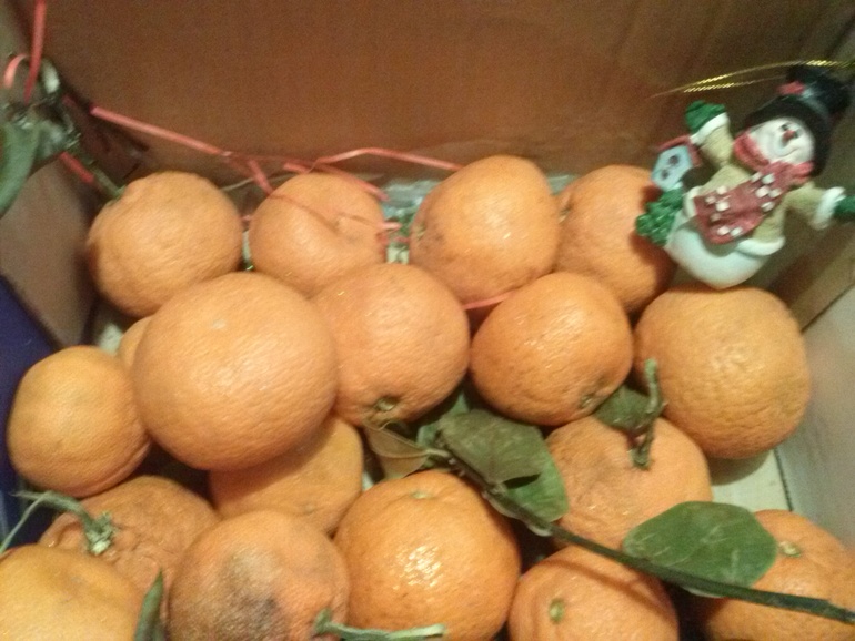 Отчёт наоборот (((((((((