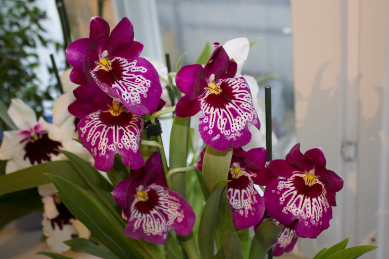 Продолжение)))))))