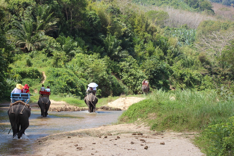 Две недели лета