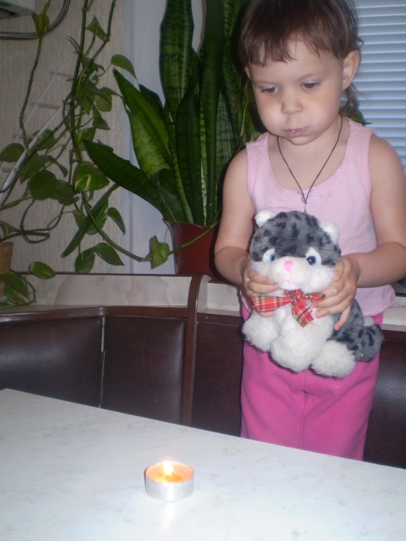 ТН Домашние животные Кошка