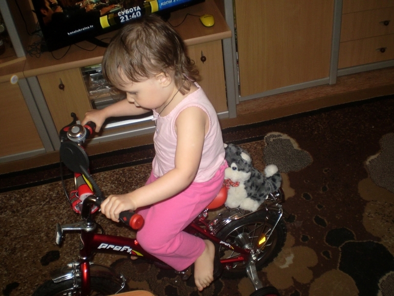 ТН Домашние животные Кошка