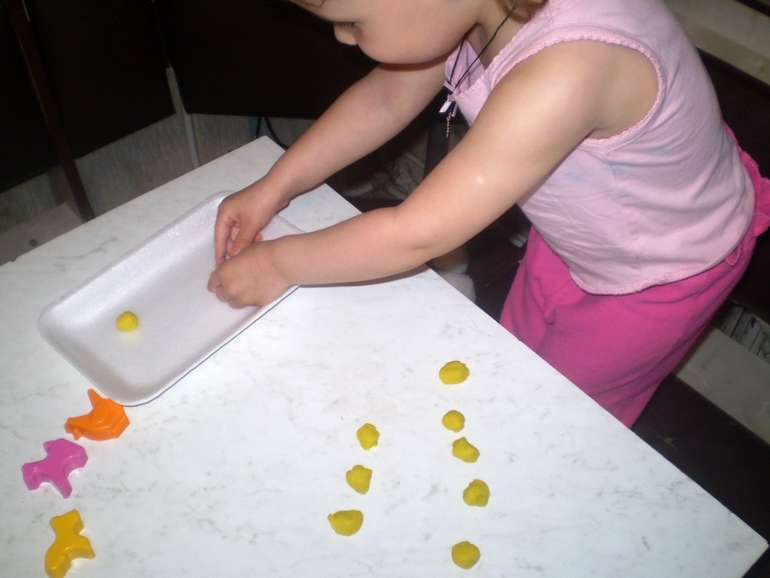 ТН Домашние животные Кошка