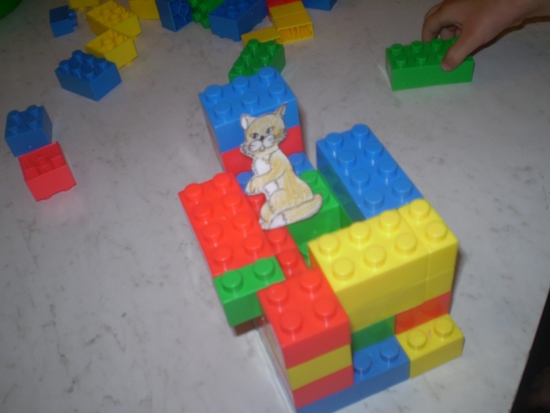 ТН Домашние животные Кошка