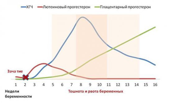 Как увеличить прогестерон беременной 12