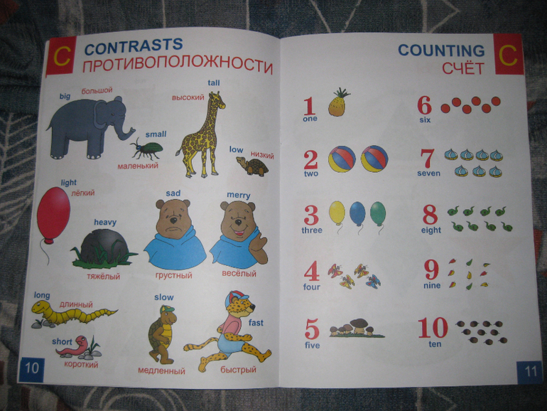 Удачный день и наводки