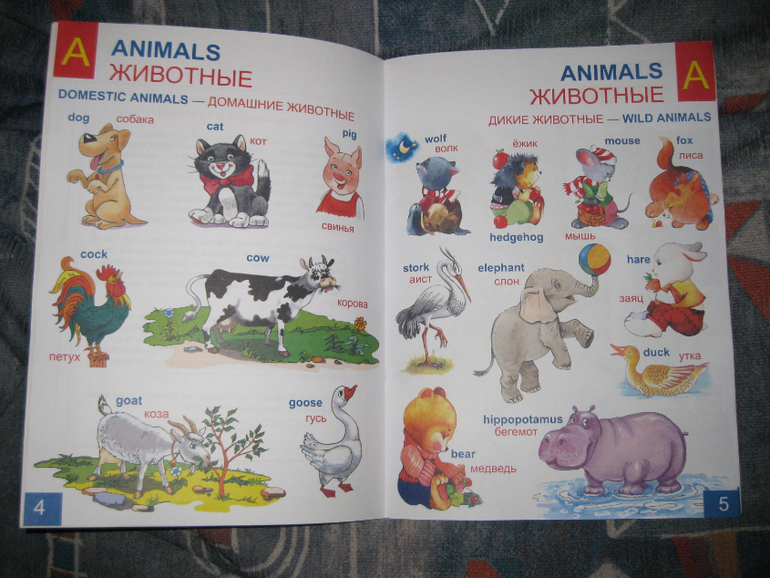 Удачный день и наводки