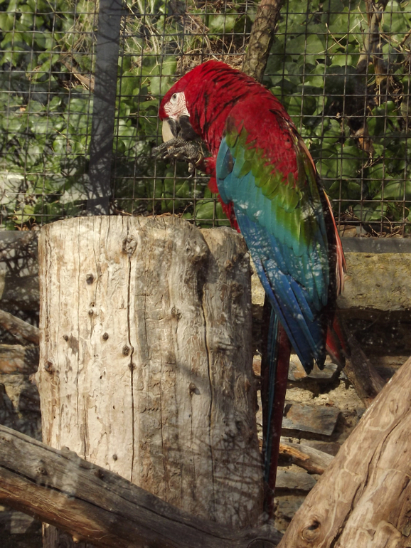 Февральские прогулки