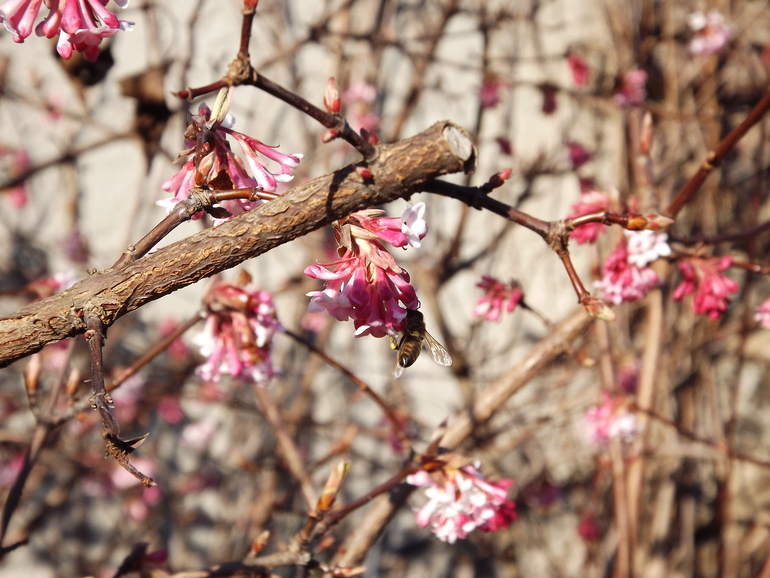Февральские прогулки