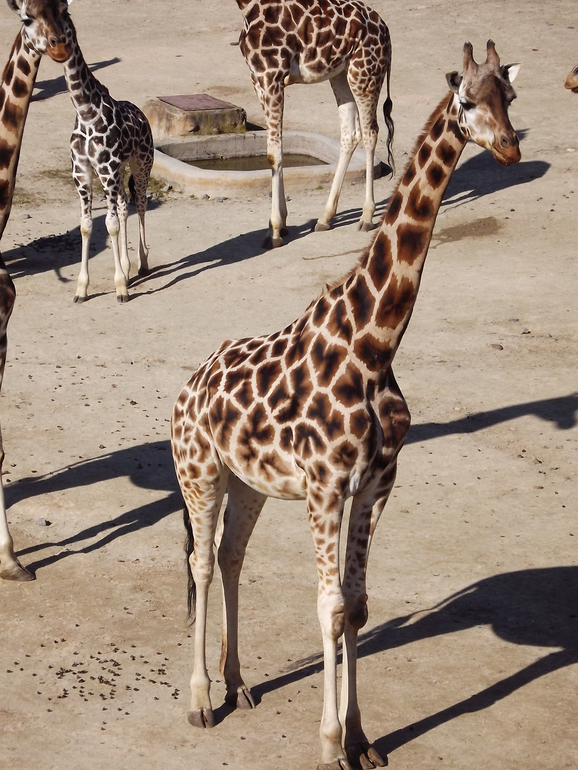 Февральские прогулки