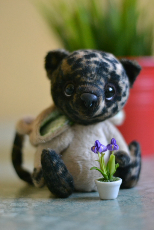 Наши новые малыши из меха