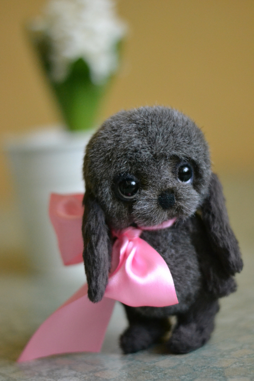 Наши новые малыши из меха