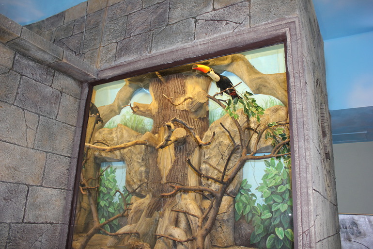 Насыщенная суббота