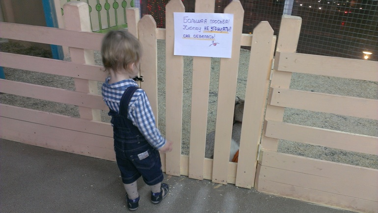 Насыщенная суббота