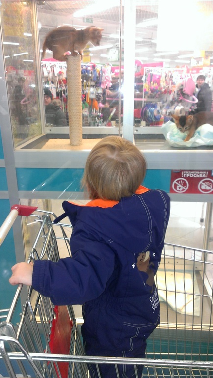 Насыщенная суббота