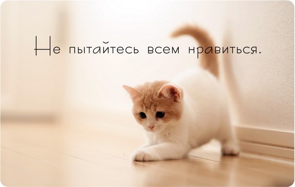 6ca91c18afab36052b717ef34586deab.jpg