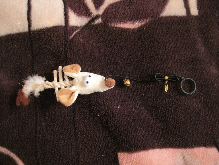 Спасибо нашим феям!!!