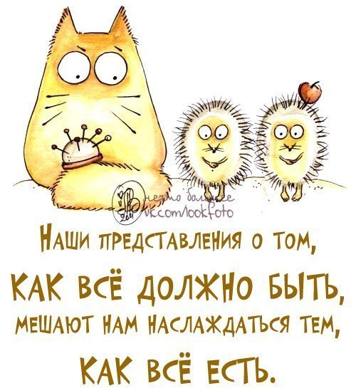 f03d33f2994e0ea0737060dce5622203.jpg