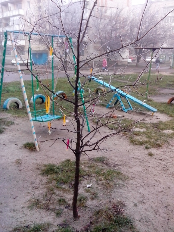 Наш адвент и подготовка к НГ