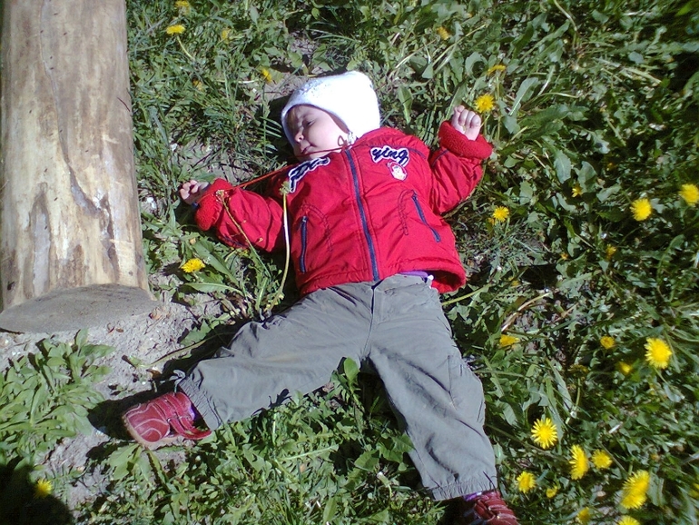 год и месяц!