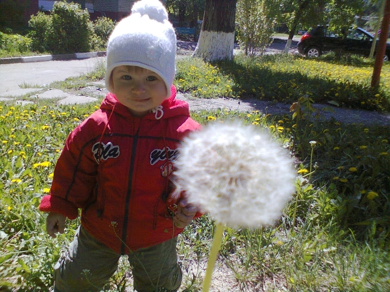 год и месяц!