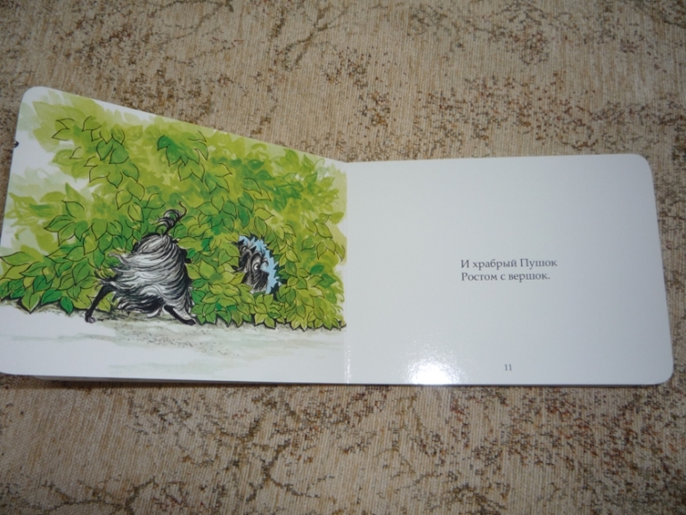 Книги для младшей дочери(1 год).