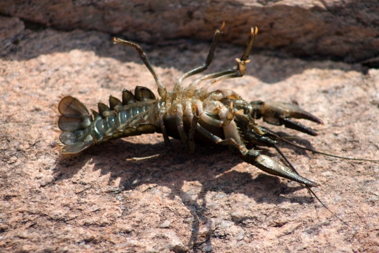 Контрольное задание № 18. Карта градиента