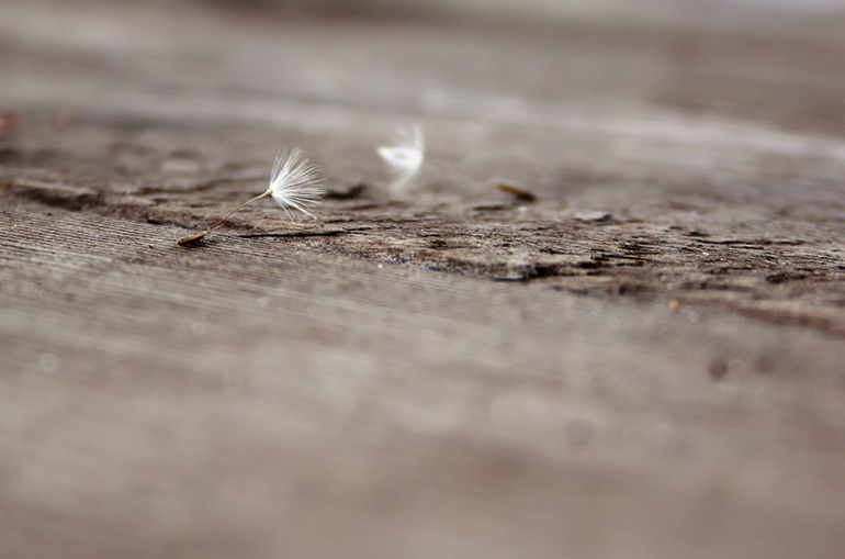 Д/З Эпизод второй. Композиция. Правило трех третей