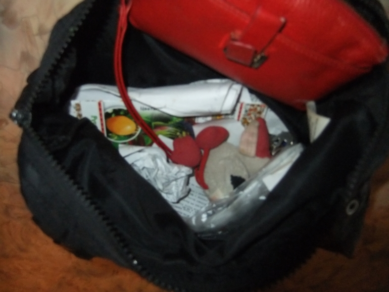 Дипломная работа. Один день настоящей ФлайЛеди.