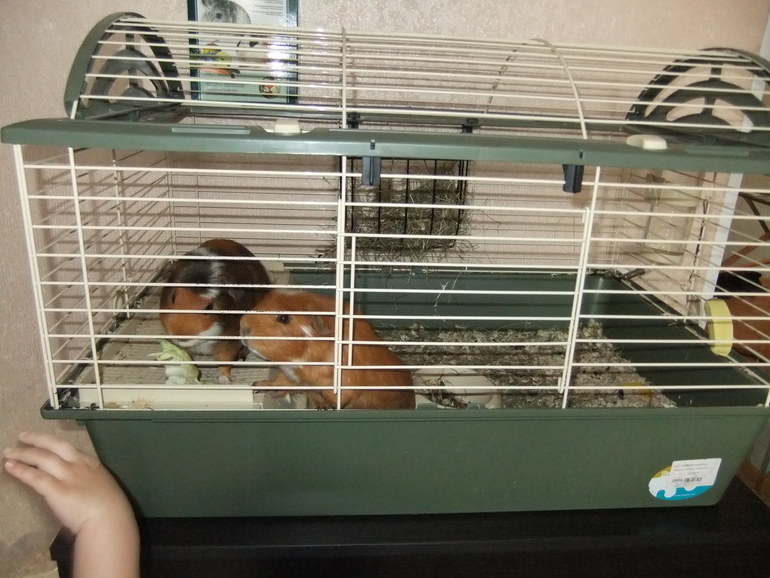 Дипломная работа. Один день настоящей ФлайЛеди.