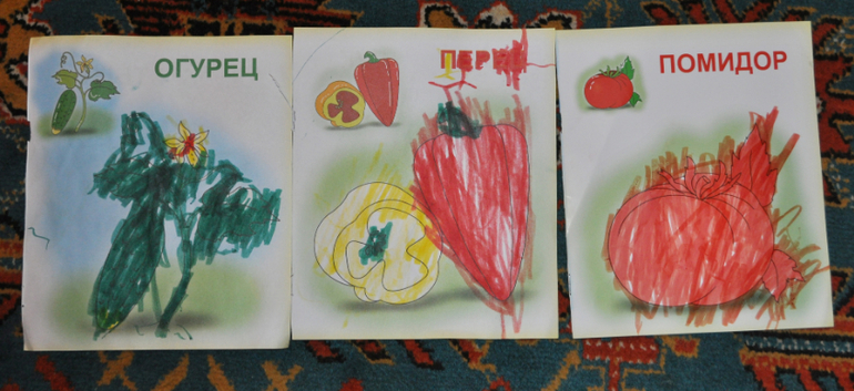 ТН Овощи, фрукты