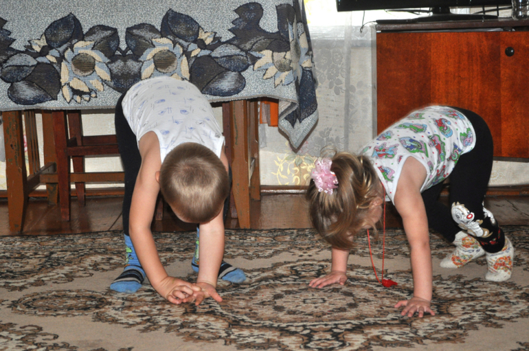 ТН Овощи, фрукты