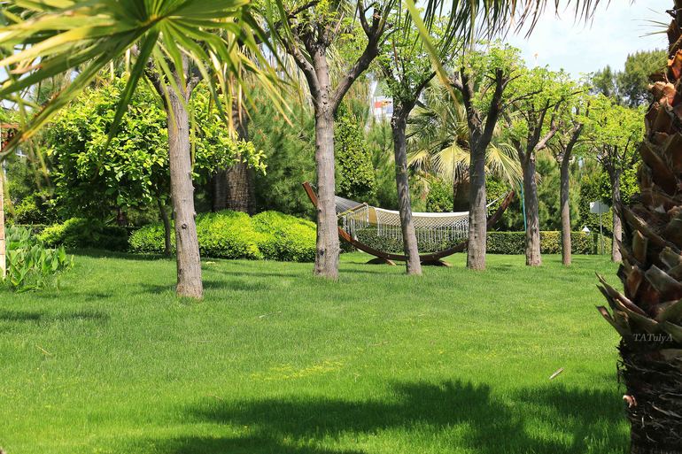 За отличным отдыхом в Amara Dolce Vita, Кемер.