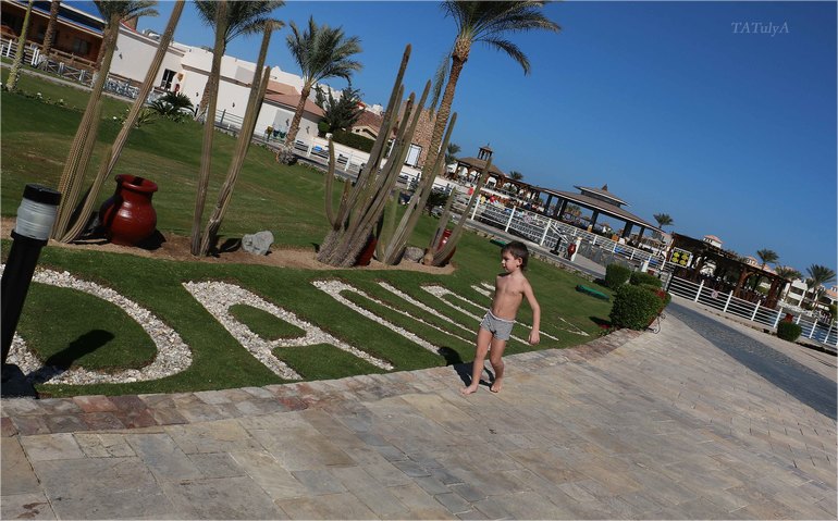 Наш неожиданный отдых в «Dana Beach» в Египте г. Хургада с 20.12-27.12.13
