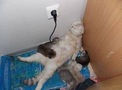 Все мамы устают одинаково :)