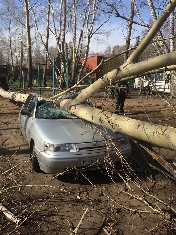 Ужасы нашего городка