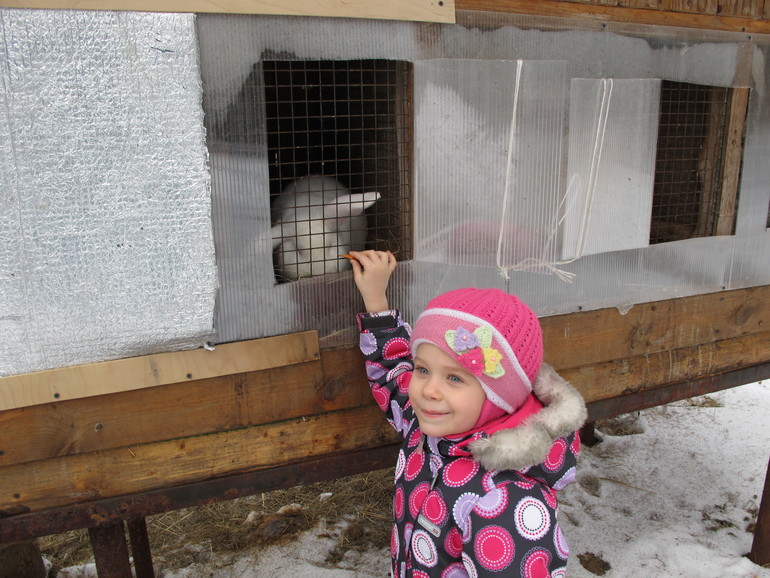 Зимние каникулы